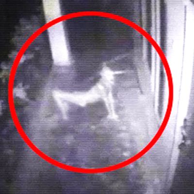 SKINWALKER RANCH - Possibly The Most Paranormal Activity Ever
