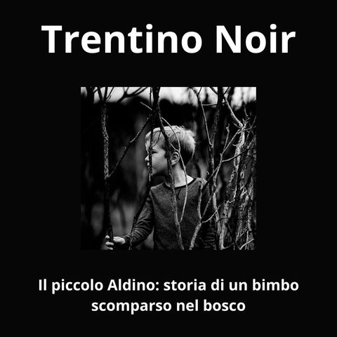 Il piccolo Aldino: storia di un bimbo scomparso nel bosco.