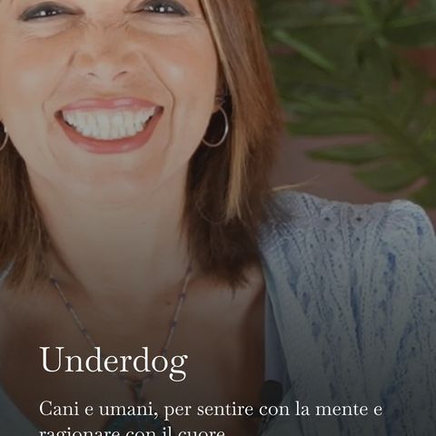 Underdog: la base sicura