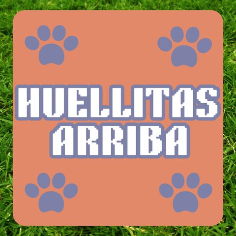 T1E3 Huellitas Arriba - ¿Comida cacera o croquetas para nuestras mascotas?