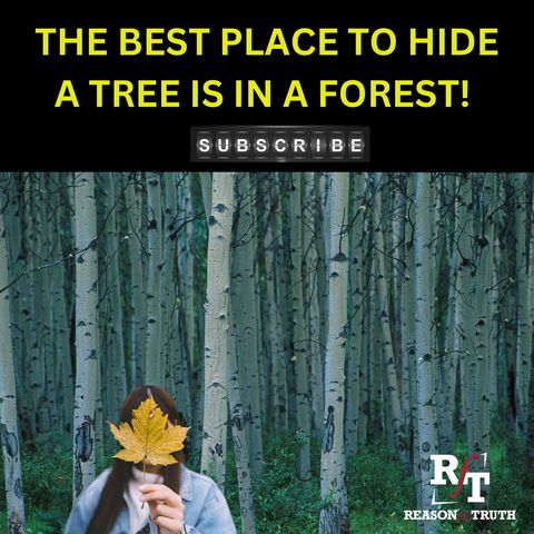 The Best Place To Hide A tree Is In A Forest (PT1) - 9:25:23, 3.46 PM