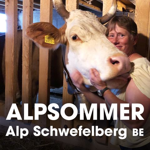 Alp Schwefelberg BE