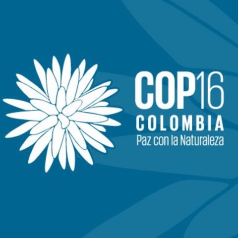 Boyacá y la COP16