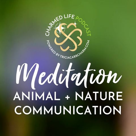 Meditation: Animal + Nature Communication