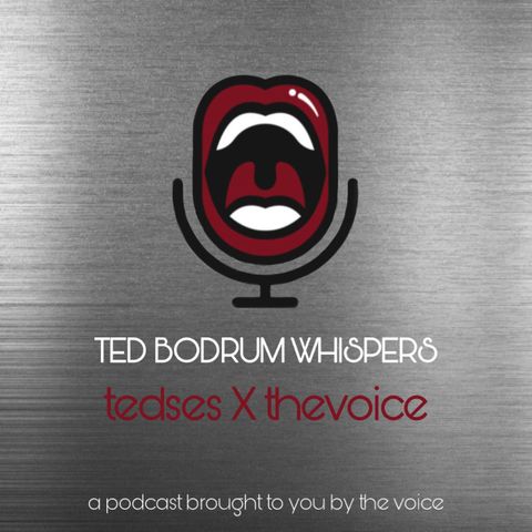 S1Episode 4 - tedses x thevoice