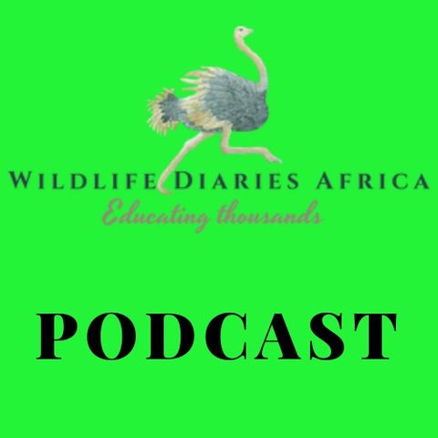 Welcome to Wildlife Diaries Africa  Podcast