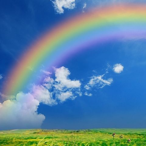 IL PONTE  DELL'ARCOBALENO...... un momento dedicato ai nostri amici a quattro zampe..