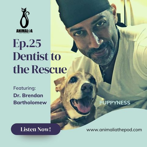 ANIMALIA 25 - Dentist to the Rescue - 11Jun21