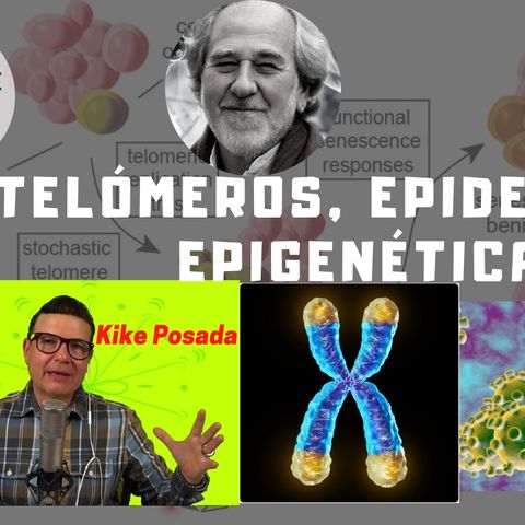 #244 Telómeros, Epidemias y Epigenética: Dejaremos de Ser Víctimas para ser Maestros de nuestro destino (Podcast)