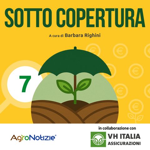 Prima del patatrac