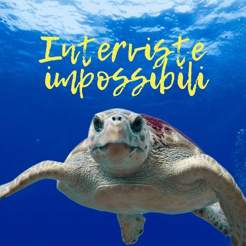 Intervista impossibile a una tartaruga marina, anzi due