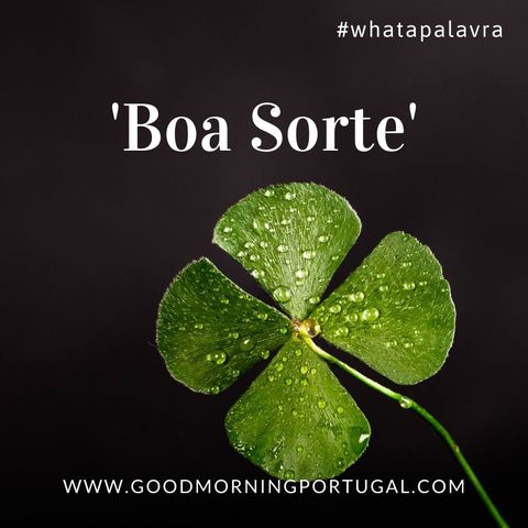 Good Morning Portugal! What a Palavra? 'Boa Sorte'