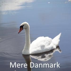 Introduktion til podcasten Mere Danmark