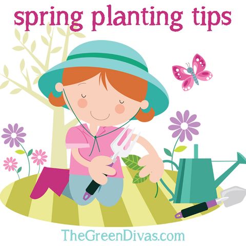 Spring Garden Planting Tips