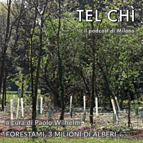 Puntata 33: tre milioni di alberi per fare di Milano una foresta