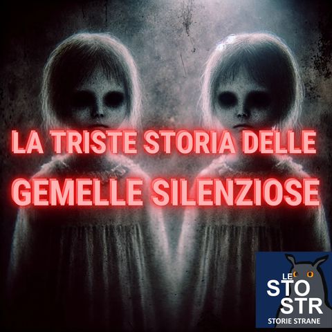 S03E23 - La triste storia delle gemelle silenziose