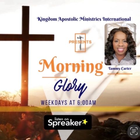 Morning Glory