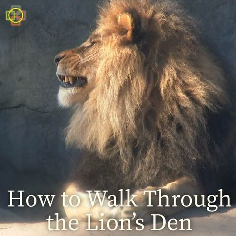 How to Walk Through the Lion's Den - The Book of Daniel Message Series