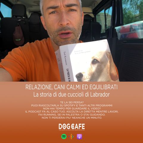 #039 - Relazione, cani calmi ed equilibrati: la storia di due cuccioli di Labrador.