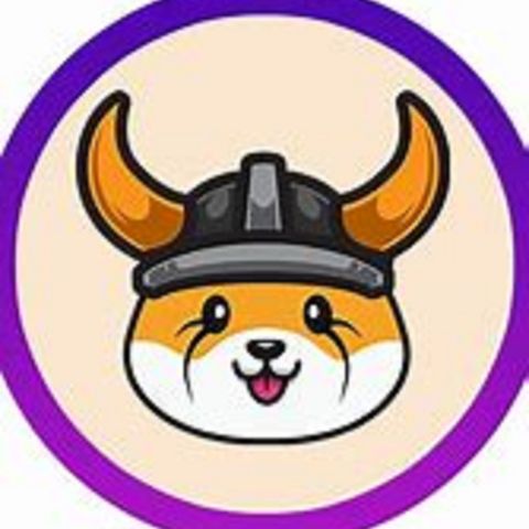 Floki Inu Rallies 40% In 24 Hours: Why?