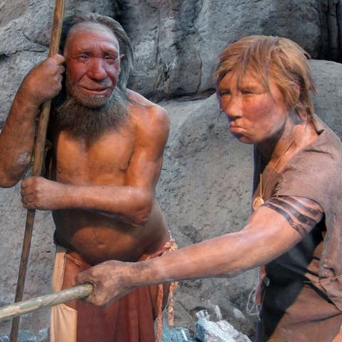 L'uomo di Neanderthal (settima puntata)