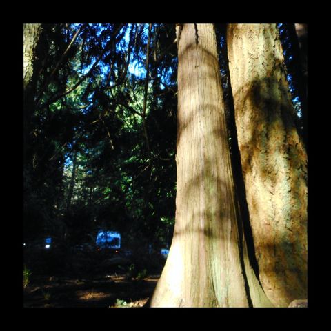 Patrick's Trail Loop