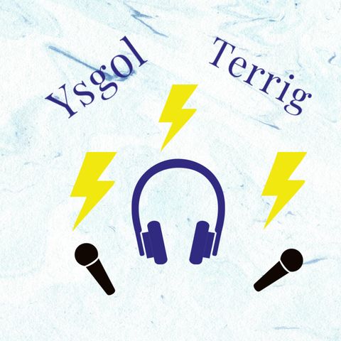 Ysgol Terrig