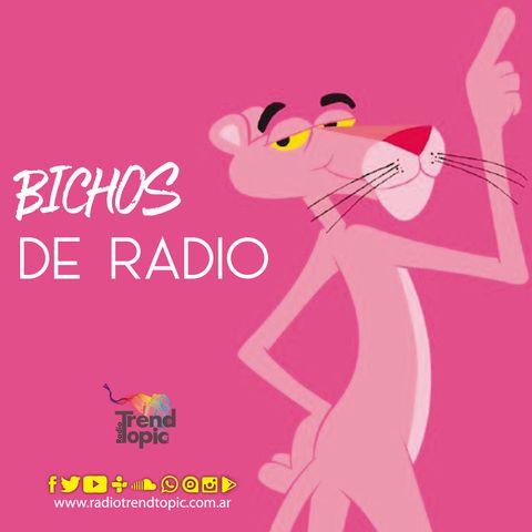 BICHOS DE RADIO -HIPPIE CHIC: T10 E2 - Descontrol en la radio