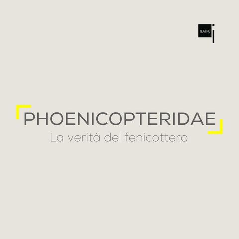 Phoenicopteridae - La verità del fenicottero