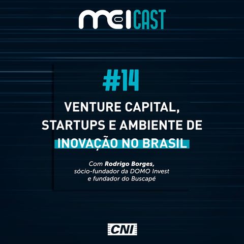#14 - Venture Capital, startups e ambiente de inovação no Brasil