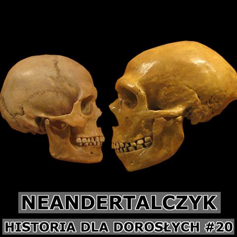 20 - Neandertalczyk