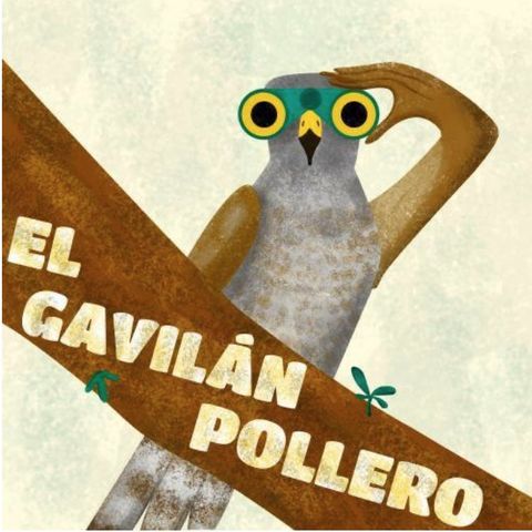 El Gavilán Pollero
