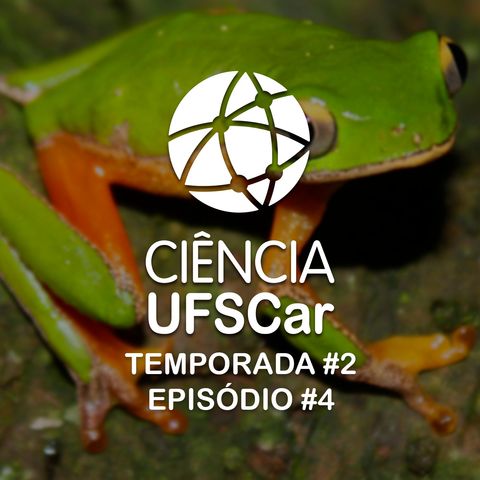 T2 #4 - Pesquisadores redescobrem espécie de perereca considerada extinta