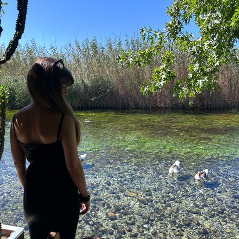 Derin Yeşil