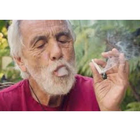 Dave's Not Here-Tommy Chong Is