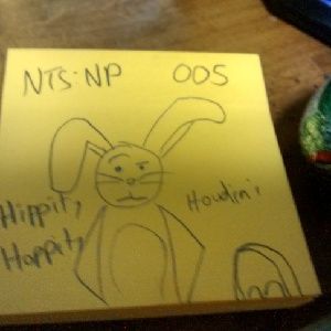 NTSNP 005 - Hippity Hoppity Houdini