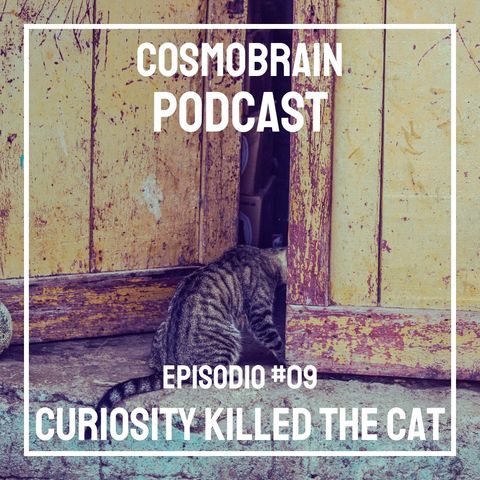 #09 Curiosity killed the cat