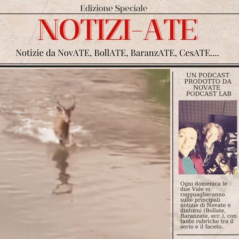 NotiziAte Stagione 4 episodio 3 - Io rinascerò, cervo a Castellazzo!