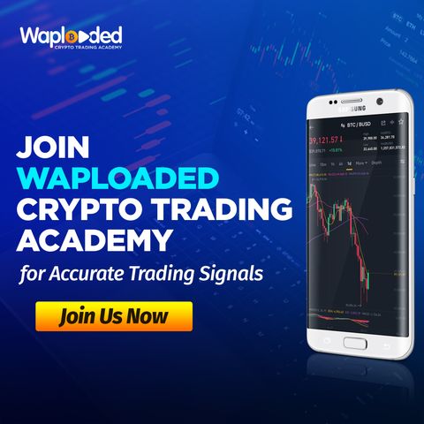 Whats inside the Waploaded Academy Trading Course