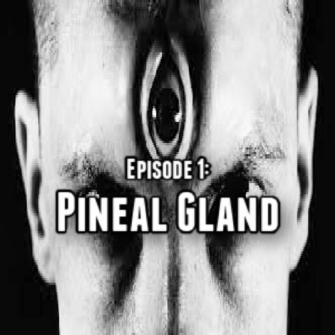 Episode 1: Pineal Gland