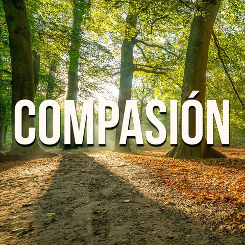 Episodio 4 Compasion