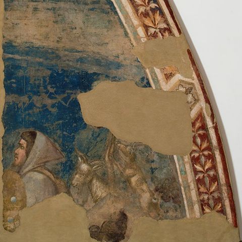 Giotto - Pastore e Armenti
