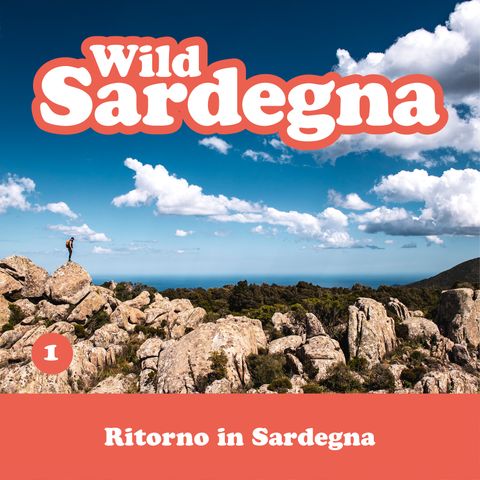 01/ Ritorno in Sardegna