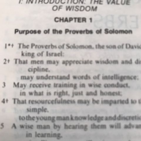 Chapter 1. Introduction: the Value of Wisdom.