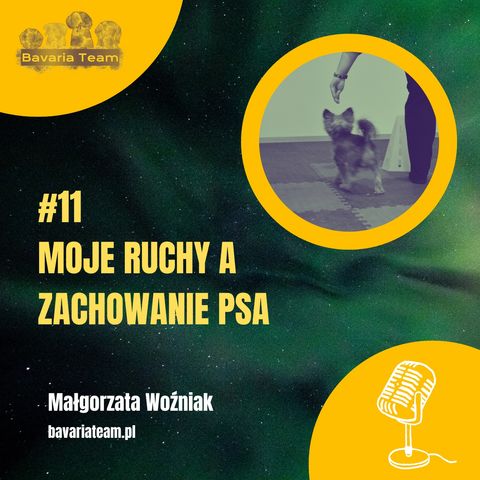 #11. Moje ruchy i zachowanie psa