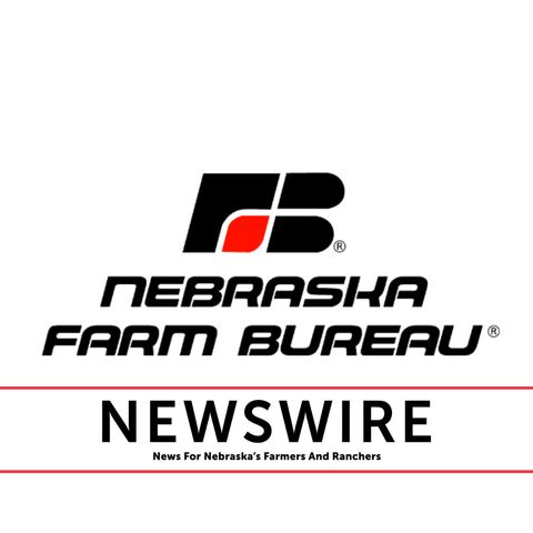 NEFB Preserves Rural Voice in Redistricting Process
