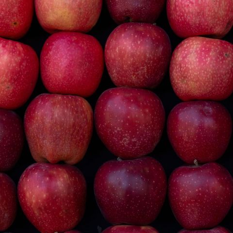 Mercado da Maçã: Safra Recupera Produção e Oferta Pressiona os Preços | BBCast Agro 16/06/2026