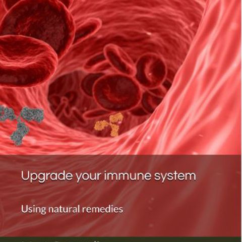 Upgrade your immune system - The immune system explained
