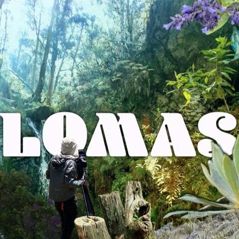 Lomas | Capítulo 6: Quebrada La Vieja