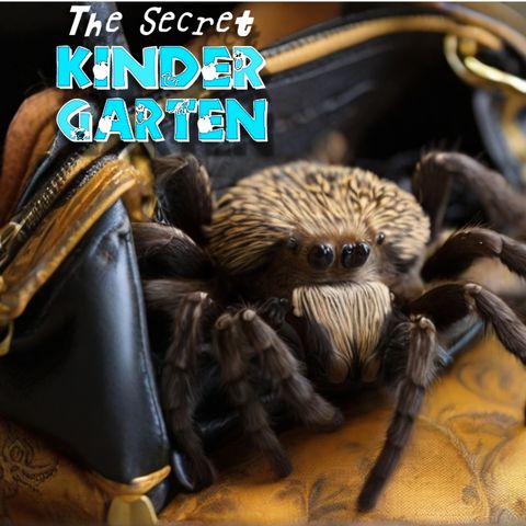 The Tarantula in My Purse